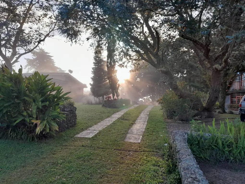 Sendero del jardín al amanecer, con neblina entre los árboles